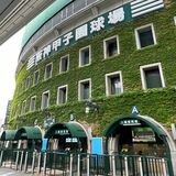 文星付、初の８強逃す　八戸学院光星（青森）に３―６　全国高校野球