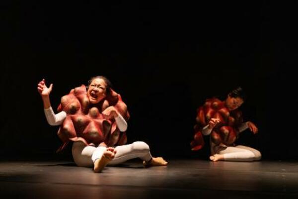 国際芸術祭「あいち2025」パフォーミングアーツ 態変「BRAIN(ブレイン)」(Photo:相模友士郎)