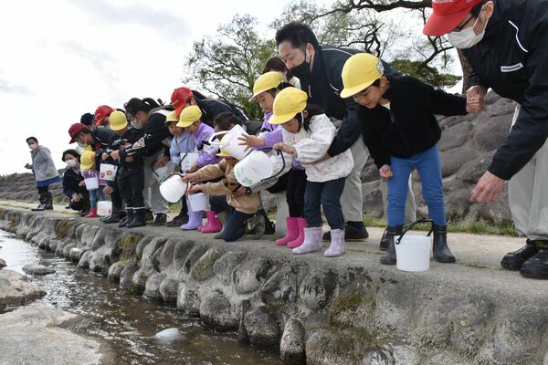 稚アユを放流する園児たち