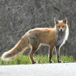 写真で伝える北の開拓地　北海道・佐呂間　「もう一つの栃木」は今