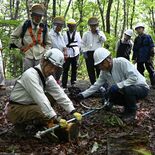 鹿沼「茂呂山を愛する会」設立３年　枯れ木伐採や除草活動、憩いの場に