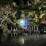 秋の彩り、水面に揺れる　佐野・出流原弁天池でライトアップ
