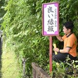 日光二荒山神社「良い縁坂」の看板新調　円満願い紫色の七宝柄、味のあるデザインに