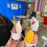 【栃木いいね散歩】新発見続々“未知の駅”