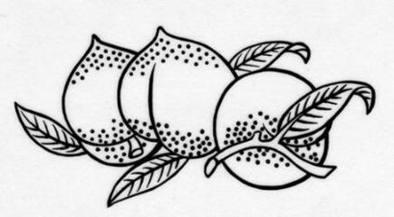 日清紡ＨＤは高級綿糸製造が始まり