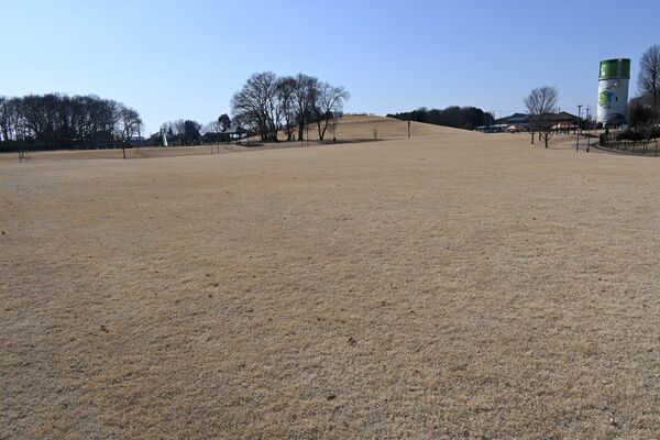 インクルーシブ遊具などの設置予定場所