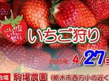 イチゴ食べ放題に来ませんか　４月27日に栃木で「にしかたいちご祭り」、…