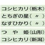 県産米、際立つ１等比率　全国４位の88.1％　降水量と水管理で猛暑影響…