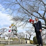 鹿沼・千手山公園にある市独自の「標本木」　観光協会が開花宣言　人気映画…