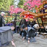花家体の「繰り込み」威勢よく　日光二荒山神社「弥生祭」の付祭