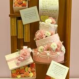 国内最大級ケーキショー、宇都宮の専門学生が入賞 細部まで工夫凝らす