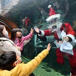 水の中からメリークリスマス　なかがわ水遊園にサンタ登場　大田原【動画】