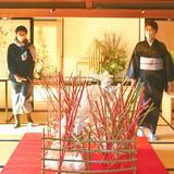 瀧澤家住宅、華やぐ　生け花展29日まで