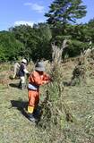 秋の里山に「茅ボッチ」