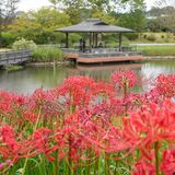 山にある「みかも山公園」、車いす利用者はどう散策する　花の名所・庭園の近くに駐車場なく