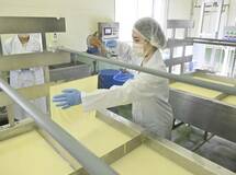 シンガポール販路開拓へ