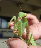 きょうの歴史　１１月１５日