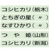 県産米、際立つ１等比率　全国４位の88.1％　降水量と水管理で猛暑影響最小限に