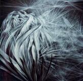 会員絵画４０点展示