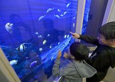 東武宇都宮百貨店、クリスタルエレベーターの照射復活