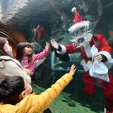 水の中からメリークリスマス　なかがわ水遊園にサンタ登場　大田原【動画】