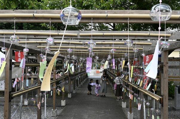 風に揺れ、涼やかな風鈴の音が風情を醸す境内