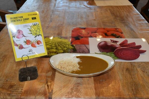ヤイタリア野菜を使ったカレーとパッケージデザイン（左）の試作品
