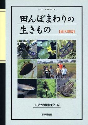 田んぼまわりの生きもの