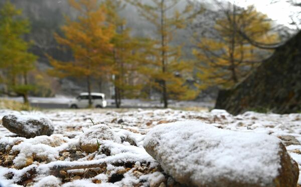 降雪で白く染まった金精道路周辺=28日午前7時35分、日光市湯元