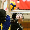 男子は清原南が3連覇、　混合は日光ウィングが初優勝　全日本バレーボール小学生大会栃木県大会