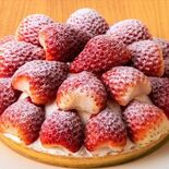 能登半島へ「食べる支援」　いちごタルトなど売り上げ一部を被災地へ　小山…