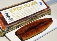 完全養殖ウナギ販売 