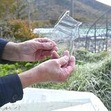 奥日光の戦場ケ原で初氷　昨年より２週間遅く　氷点下5.5度を記録