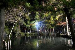 水面に揺れる秋の彩り