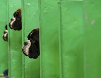 次の出番は僕さ