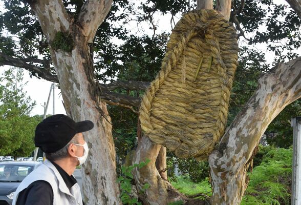 サルスベリに取り付けられた大わらじ