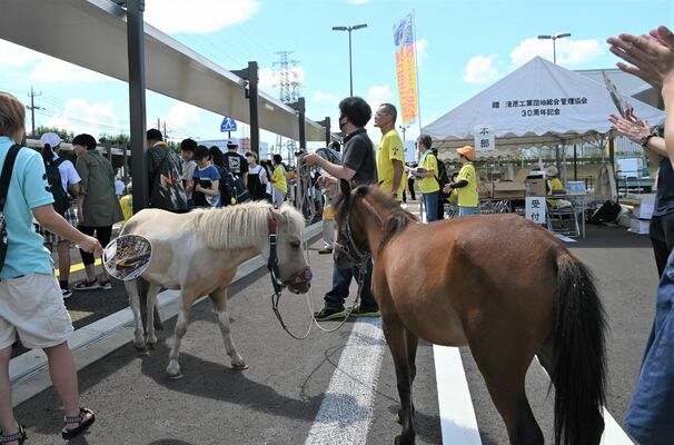 ポニーもＬＲＴ開業を記念しお祝いに駆け付けた＝清原地区市民センター前ＴＣ