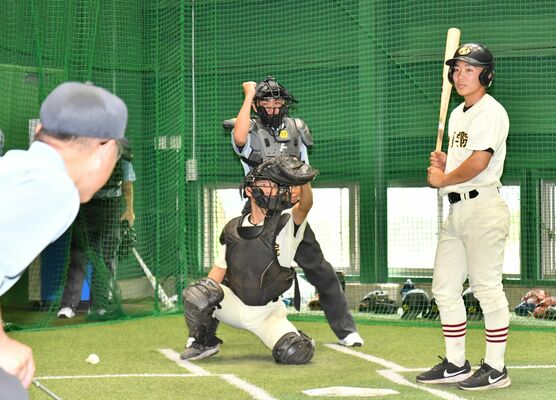 試合を想定し、投球判定を確かめ合う審判員＝作新高総合室内運動場