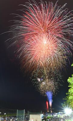 夜空を彩る鮮やかな花火