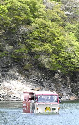 新緑の中を進む水陸両用バス