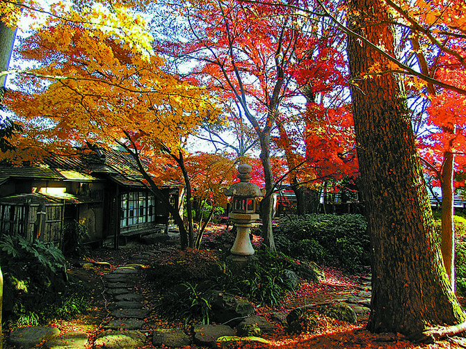 紅葉スポットとしても知られる掬翠園(提供写真)