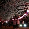 那須塩原・黒磯公園など桜ライトアップ　12日まで「祭り」　露店やヒーローショーも