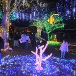 街きらびやかに彩る４万球　恒例イルミ始まる　那須烏山