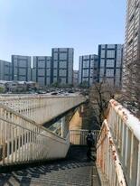 「雰囲気」解明へ新学問