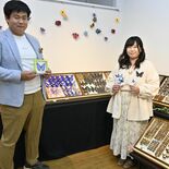 「小山のムシキング」妻が企画 チョウ標本や昆虫グッズ、ハンドメイド作品…