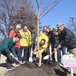 宇都宮城址公園に「静桜」を植樹　市民団体が看板も設置