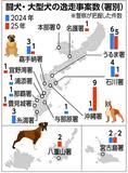 登録件数、那覇市の倍　