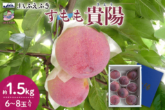 果汁あふれる贅沢な甘みのすもも「貴陽」　 産地直送通販サイト「ＪＡタウン」で予約販売中！