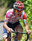 ブリッツェン鈴木龍が今季初Ｖ　ＪＰＴの石川ロードレース　チームは６勝目