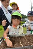 大豆づくり　心に刻もう　親子３８人、体験スタート　茂木